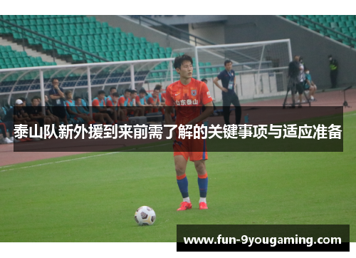泰山队新外援到来前需了解的关键事项与适应准备