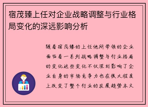 宿茂臻上任对企业战略调整与行业格局变化的深远影响分析