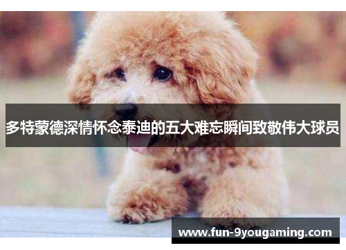 多特蒙德深情怀念泰迪的五大难忘瞬间致敬伟大球员