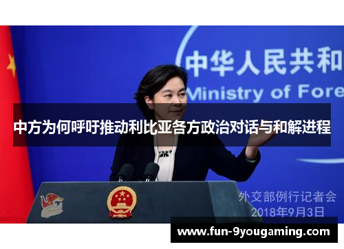 中方为何呼吁推动利比亚各方政治对话与和解进程