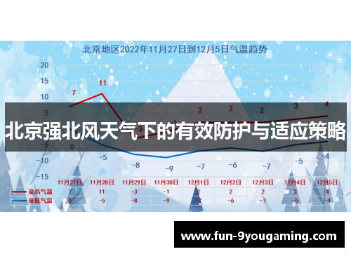 北京强北风天气下的有效防护与适应策略
