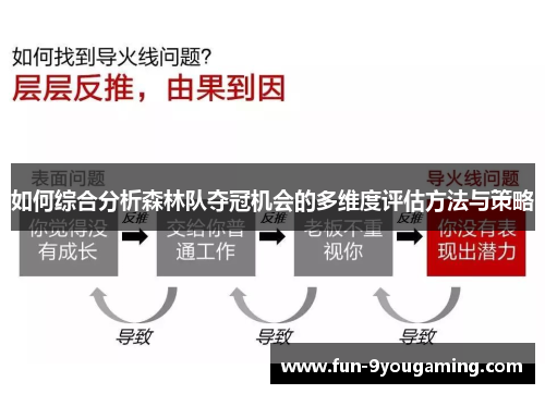 如何综合分析森林队夺冠机会的多维度评估方法与策略