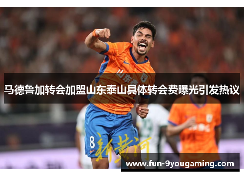 马德鲁加转会加盟山东泰山具体转会费曝光引发热议