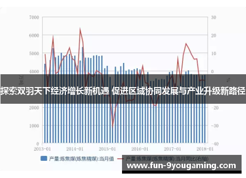 探索双羽天下经济增长新机遇 促进区域协同发展与产业升级新路径